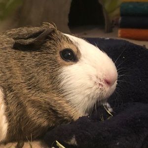 Meet your Posher, Mairead